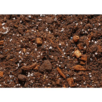 BIO26 EARTH BIGOS 8L Lichtsubstrat für Zimmerpflanzen im Topf