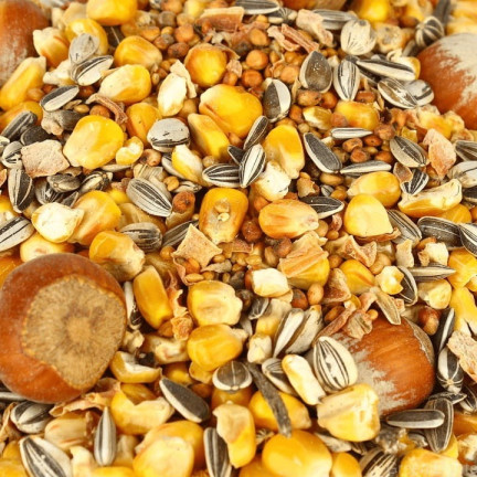 Futter für Eichhörnchen, Nahrung für Eichhörnchen, gesunde Mischung, Turdus, 500 g