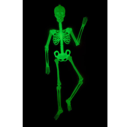 TG73003 HALLOWEEN SKELETT FLUO