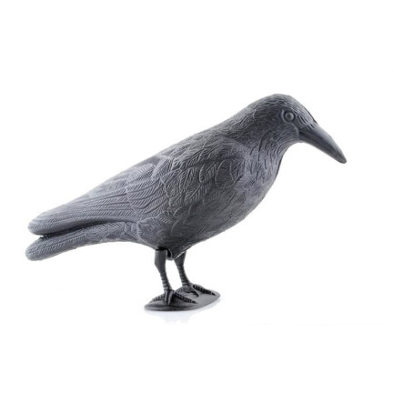 AP8 GROSSE KRÄHE VOGEL ABSCHRECKUNG TAUBEN STARE