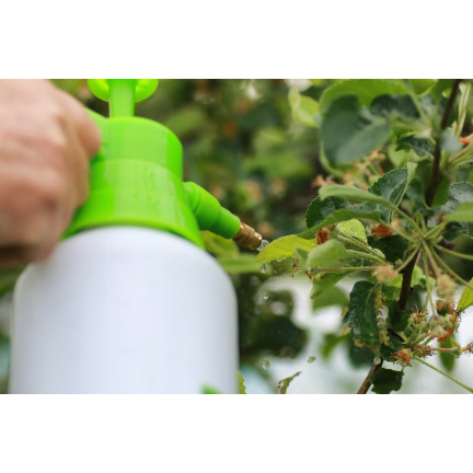 Druck-Sprühgerät, Kompressionssprühgerät, Handsprühgerät, zum Sprühen, 2 l