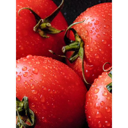 W1160 HIMBEERE GEMAHLENE TOMATENSAMEN FÜR SAUCEN KONSERVEN 0,5G