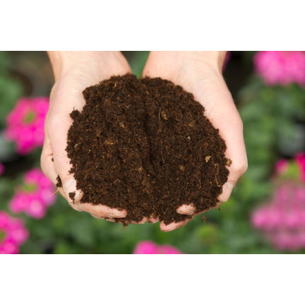 BIO15 BIO-UNIVERSALERDE FÜR BLUMEN PFLANZEN 10L MIT DÜNGER