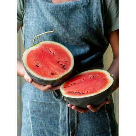 W1001 WASSERMELONE SAMEN ZUCKER BABY CAVON SÜSS SAFTIGES FRUCHTFLEISCH FÜR DEN ANBAU 1G