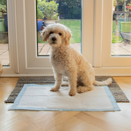 IM028 HYGIENEMATTEN FÜR WELPEN HUND ZU LERNEN, PINKELN 50PCS. 33X45CM