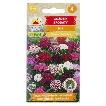 R0739 BARTNELKEN MIX 1G BLUMENSAMEN MEHRFARBIGE NELKEN