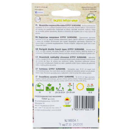 R2005 ZIGEUNER SONNENSCHEIN NIEDRIG GELB SAMTENE SAMEN 1G