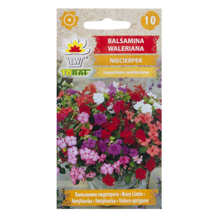 R4485 BALDRIAN 0.1 SAMEN BLUMEN FARBE