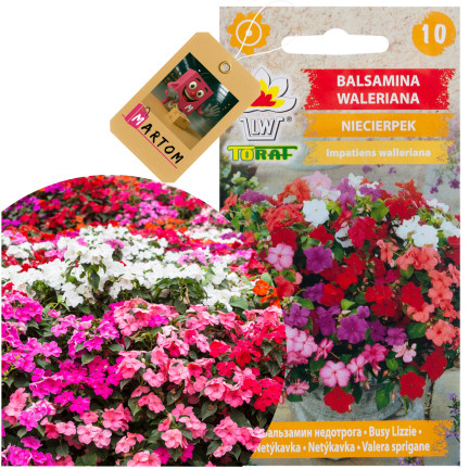 R4485 BALDRIAN 0.1 SAMEN BLUMEN FARBE