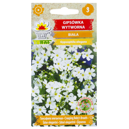 R4584 GYPSOPHILA WEISS 1G GYPSOPHILA SAMEN BLUMEN FÜR BLUMENBEETE STEINGÄRTEN