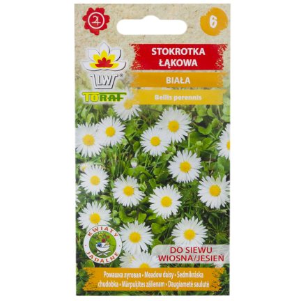 R4638 WIESE GÄNSEBLÜMCHEN WEISS RASEN GÄNSEBLÜMCHENSAMEN 0.2G
