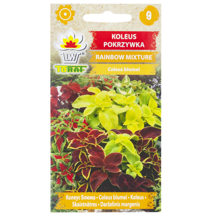 R6663 KOLEUS BRENNNESSEL 0,2G BLUMENSAMEN REGENBOGENMISCHUNG
