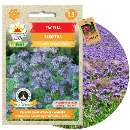 Blaue Phacelia, honigtragend, als Zwischenfrucht, Samen, Toraf, 50 g