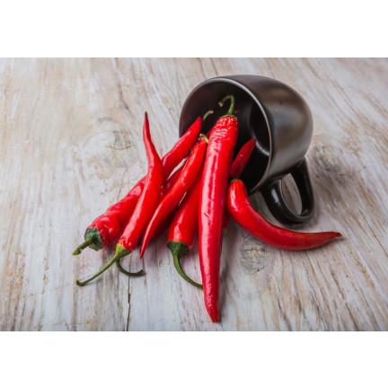 W1137 DE CAYENNE HOT CHILLI PFEFFERSAMEN WÜRZIG 0,5G