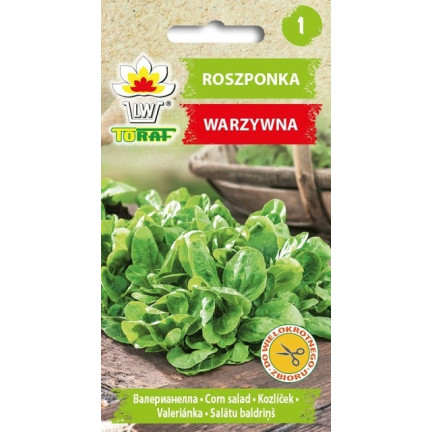W1186 FELDSALAT GEMÜSESAMEN VITAMINREICHER KOPFSALAT 1G