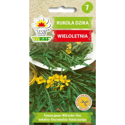 W1255 WILDWACHSENDE RUCOLA-SAMEN GEMÜSESALAT WÜRZIG 1G
