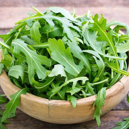 W1188 WILDWACHSENDE RUCOLA-SAMEN SAFTIG-SCHARFE SALATBLÄTTER SANDWICH 1G