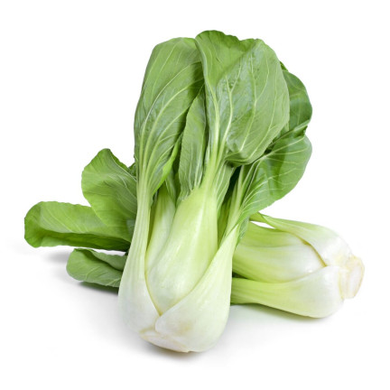 W3779 CHINESISCHER PAK CHOI KOHL 1G CHINESISCHE KOHLSAMEN TORAF