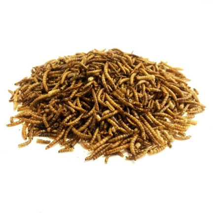 Getrocknete Mehlwurmlarven für Vögel, proteinreiches Futter, 125 g