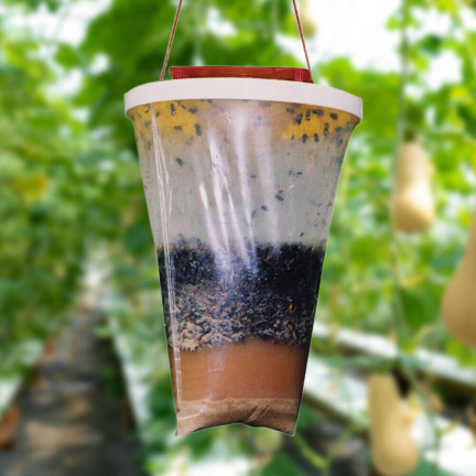 TG71406 INSEKTENFALLE WESPE FLIEGE FÄNGER ANHÄNGER KÖDER TASCHE