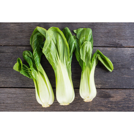 W3779 CHINESISCHER PAK CHOI KOHL 1G CHINESISCHE KOHLSAMEN TORAF