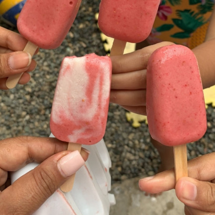 TG67372 SILIKON-EISSTIELFORM FÜR SORBETS