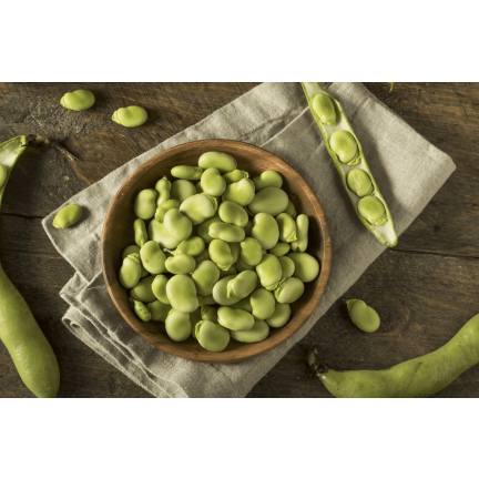 W1006 SEEDS WINDSOR WHITE BROAD BEAN MEDIUM EARLY VERY PROLIFIC 50G