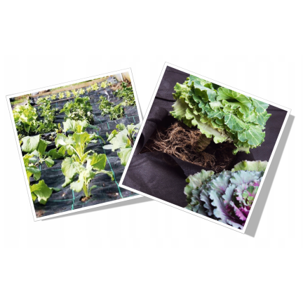 AGO0434 Unkrautvlies 1x10 M 50g/m2 100% UV2%