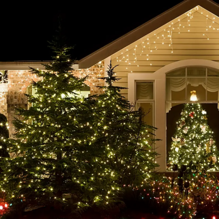 TG73524-2 Weihnachtsbaumlichterkette mit 40 LEDs, warmes Licht, batteriebetrieben, an einem grünen Draht