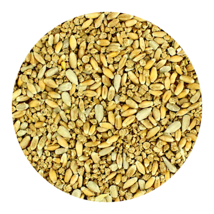Entenfutter, Winterfutter für Vögel, Futtermischung mit Sonnenblumenkernen, 1 kg