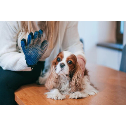 2366 HANDSCHUH ZUM KÄMMEN HUNDESALONMASSAGE