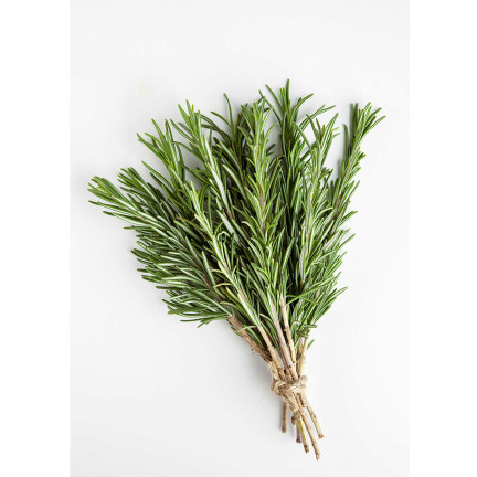 Z3028 ROSMARIN AROMATISCHE KRÄUTER SAMEN MEHRJÄHRIG 0.1G