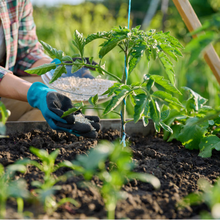 Organischer Dünger für Gemüse und Tomaten, natürlich, BIO, Granulat, Biovita 3 kg