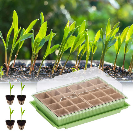 TG71428 MINI GLARNIA INSPEKT Torf Töpfe GROWER DISTRIBUTION 24 Fächer + Tray