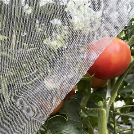 TG71990 INSEKTENNETZ FÜR BETTSCHUTZ 2X50M 80 MESH