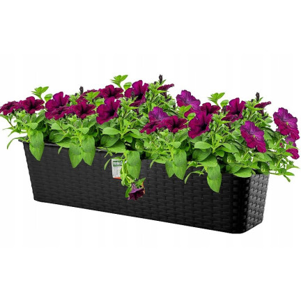 ISR600P-S433 BALCONY BALCONY-Topf RATTAN 59cm anthrazitfarbener Boden 10L