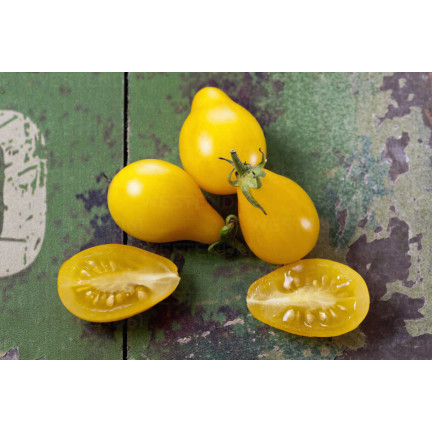 W2993 GEMAHLENE KIRSCHTOMATE HOCH PERUN 0,5G SAMEN PRODUKTIV