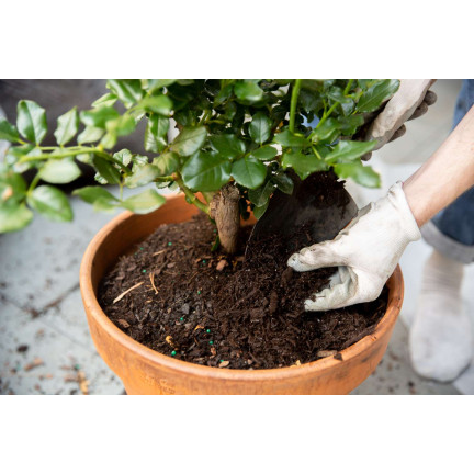 Rosenerde, Blumenerde zum Umtopfen, Spezialerde mit Perlit, Biovita 20 l