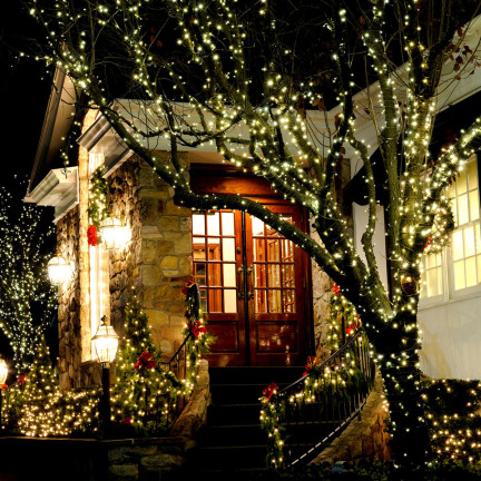 LC100 Weihnachtsbaumbeleuchtung, 100 LEDs, warmweiß, Innenbeleuchtung für den Weihnachtsbaum