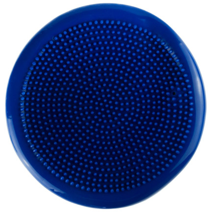 SP99 SENSOMOTORISCHES KISSEN REHA-SCHEIBE IGEL FÜR SENSORISCHE ÜBUNGEN
