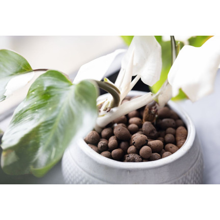 BIO38 Garten-Blählehm, Drainage, Substrat für Topfpflanzen und Blumen, 4 l, 8–16 mm