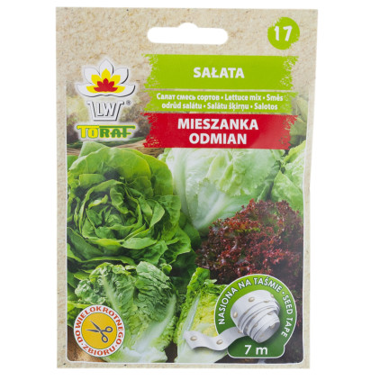 T3839 SALATMISCHUNG VIELFALT BAND 7M