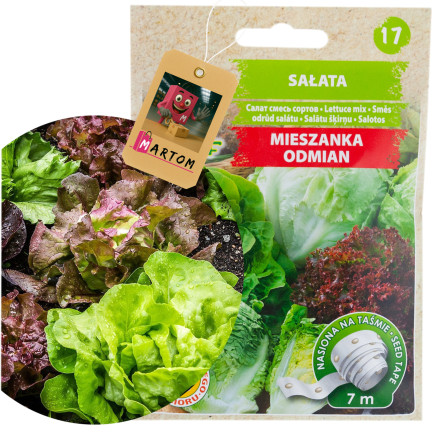 T3839 SALATMISCHUNG VIELFALT BAND 7M