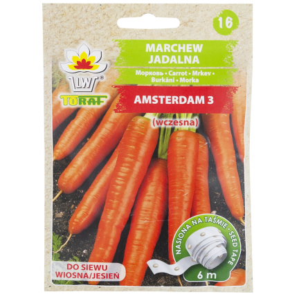 T8003 KAROTTEN AMSTERDAM 3 AUF BAND FRÜHE KAROTTENSAMEN BAND 6M