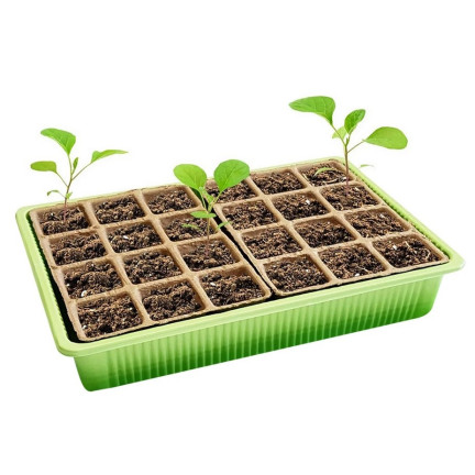 TG71428 MINI GLARNIA INSPEKT Torf Töpfe GROWER DISTRIBUTION 24 Fächer + Tray