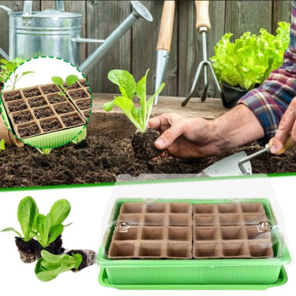 TG71428 MINI GLARNIA INSPEKT Torf Töpfe GROWER DISTRIBUTION 24 Fächer + Tray