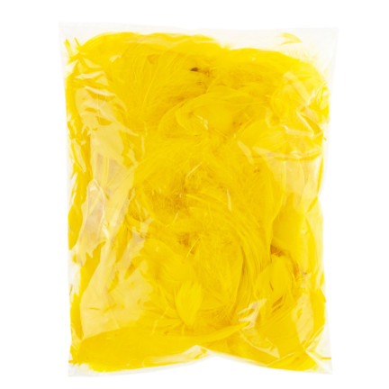 TG35906-2 dekorative Federn 10G gelblich dicot Basteln Ostern