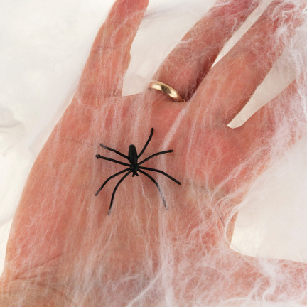 TG38901 PAJAKEN MIT PAJAKEN-NETZWERK FÜR HALLOWEEN PAJAKEN 2 St.