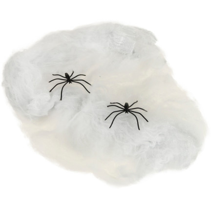 TG38901 PAJAKEN MIT PAJAKEN-NETZWERK FÜR HALLOWEEN PAJAKEN 2 St.
