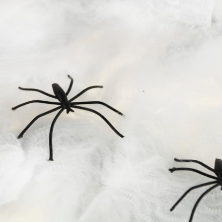 TG38901 PAJAKEN MIT PAJAKEN-NETZWERK FÜR HALLOWEEN PAJAKEN 2 St.